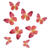 Metulji, oranžno roza, oblatne dekoracije (8 kos)