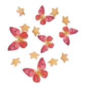 Rože & Metulji, oranžno roza, jedilne oblatne (30 kos)